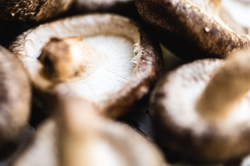 Ảnh đẹp Hình nền Shiitake